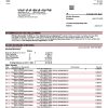 Fake Ireland Business Bank Statement