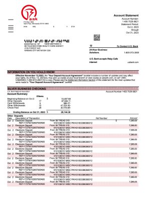 Fake Ireland Business Bank Statement