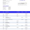 Fake Ireland Business Bank Statement (version1)