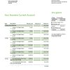 Fake Israel Discount Business Bank Statement