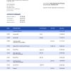 Fake KDB Group Business Bank Statement
