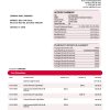 Fake Komercni banka corporate Business Bank Statement