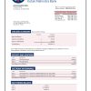 Fake Kotak Mahindra Business Bank Statement