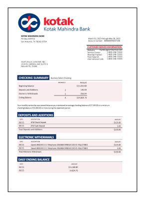 Fake Kotak Mahindra Business Bank Statement