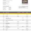 Fake Krungsri-Bank of Ayudha Business Bank Statement