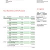 Fake MBank company Business Bank Statement