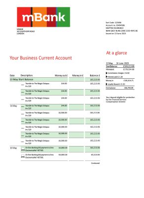 Fake MBank company Business Bank Statement