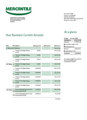 Fake Mercantile Discount Business Bank Statement