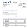 Fake Merrill Business Bank Statement