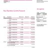 Fake Millenium Business Bank Statement