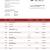 Fake Monte dei Paschi di Siena Business Bank Statement