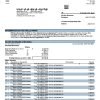 Fake NH Business Bank Statement