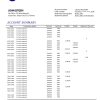 Fake NLB Business Bank Statement