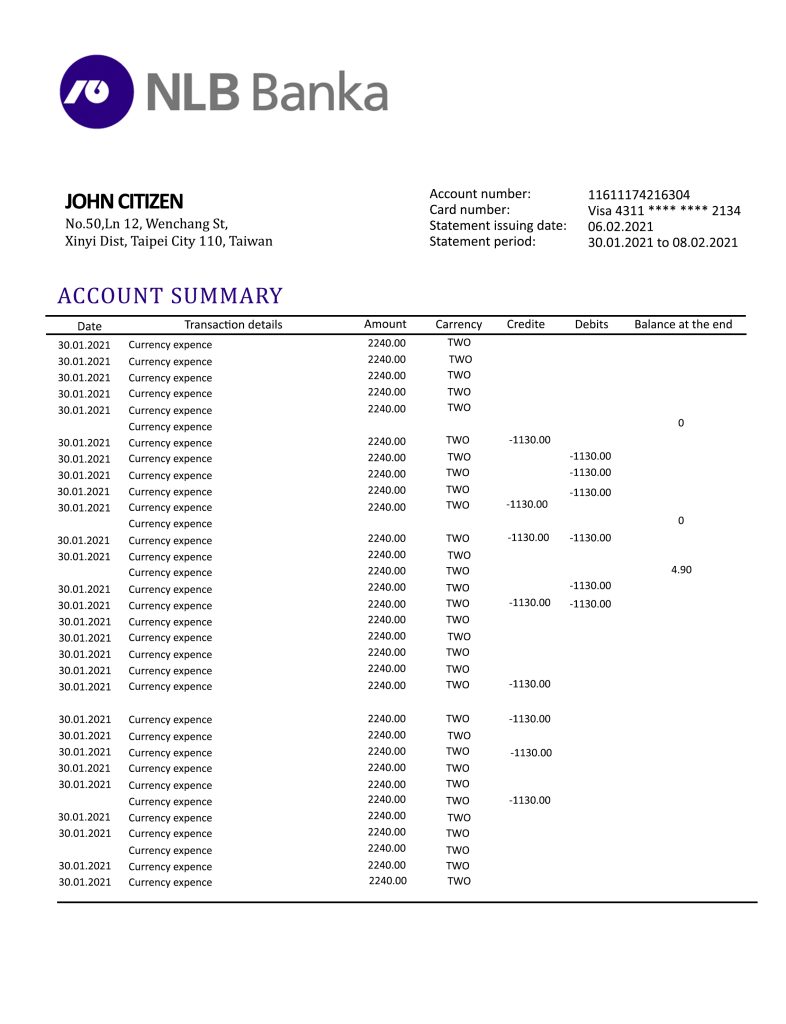 Fake NLB Business Bank Statement