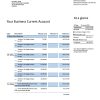 Fake National Business Bank Statement