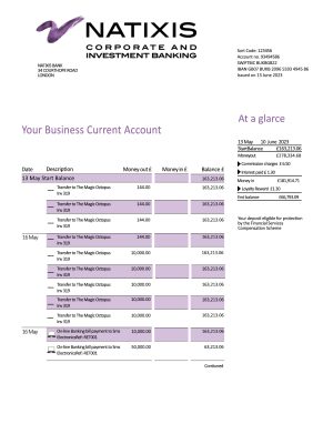 Fake Natxis Business Bank Statement