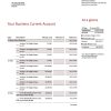 Fake Indusind Business Bank Statement