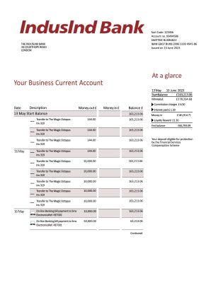 Fake Indusind Business Bank Statement