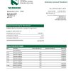 Fake Nedbank Business Bank Statement
