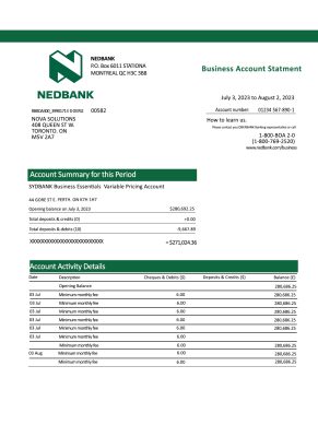 Fake Nedbank Business Bank Statement