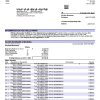 Fake Nordea Business Bank Statement