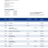 Fake Nykredit Business Bank Statement