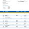 Fake OLD National Business Bank Statement
