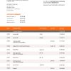 Fake OP Business Bank Statement