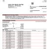Fake PUBLIC Business Bank Statement