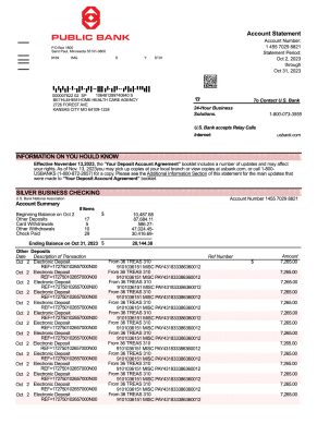 Fake PUBLIC Business Bank Statement