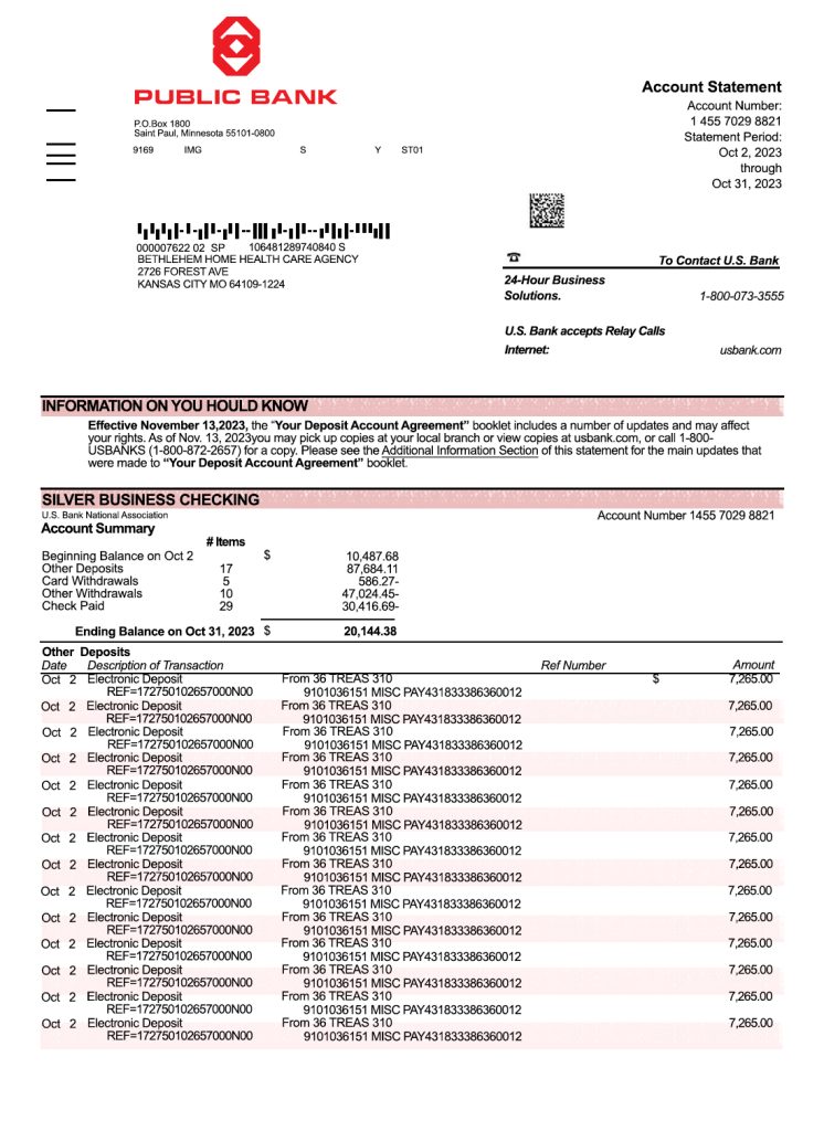 Fake PUBLIC Business Bank Statement
