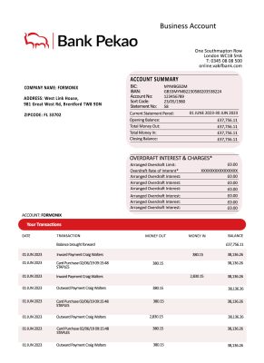 Fake Pekao S. A company Business Bank Statement