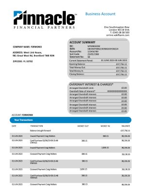 Fake Pinnacle Financial Business Bank Statement