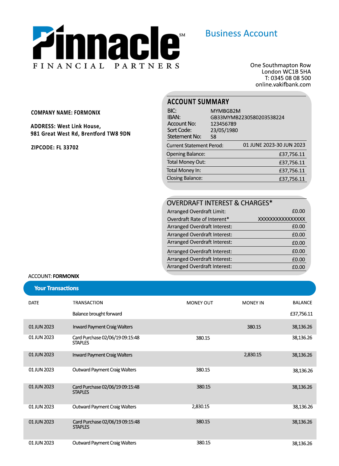 Fake Pinnacle Financial Business Bank Statement
