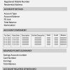Fake Punjab National Business Bank Statement