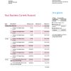 Fake QNB Business Bank Statement