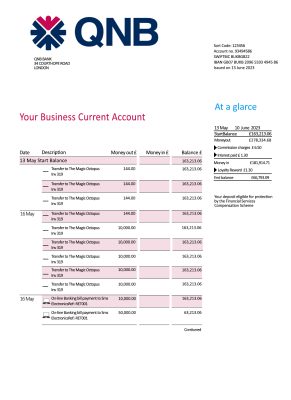 Fake QNB Business Bank Statement