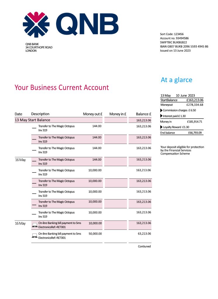 Fake QNB Business Bank Statement