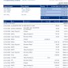 Fake RBS Business Bank Statement