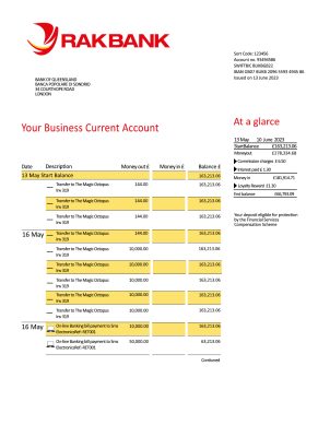Fake Rakbank enterprise Business Bank Statement