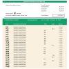Fake Resona Business Bank Statement
