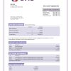 Fake SNS Business Bank Statement