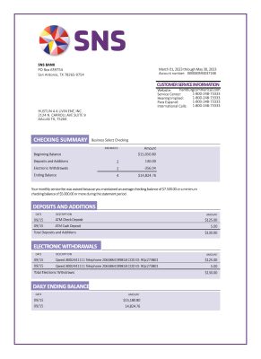 Fake SNS Business Bank Statement