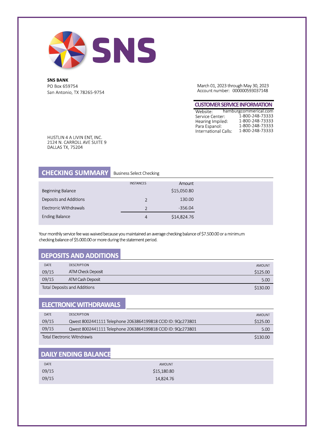 Fake SNS Business Bank Statement