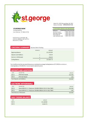 Fake ST. George Business Bank Statement