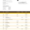 Fake Saudi Investment Business Bank Statement