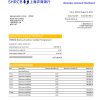 Fake Shanghai rural Commercial Business Bank Statement