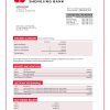 Fake Shengjing Business Bank Statement
