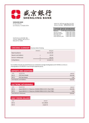 Fake Shengjing Business Bank Statement