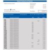 Fake Shinsei Business Bank Statement